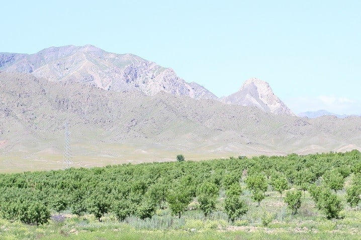 Погода на неделю хатлонская область. Хатлон Таджикистан. Таджикистан гора Хатлонская область. Таджикистан Хатлон Дарваз. Сельское хозяйство Таджикистана.