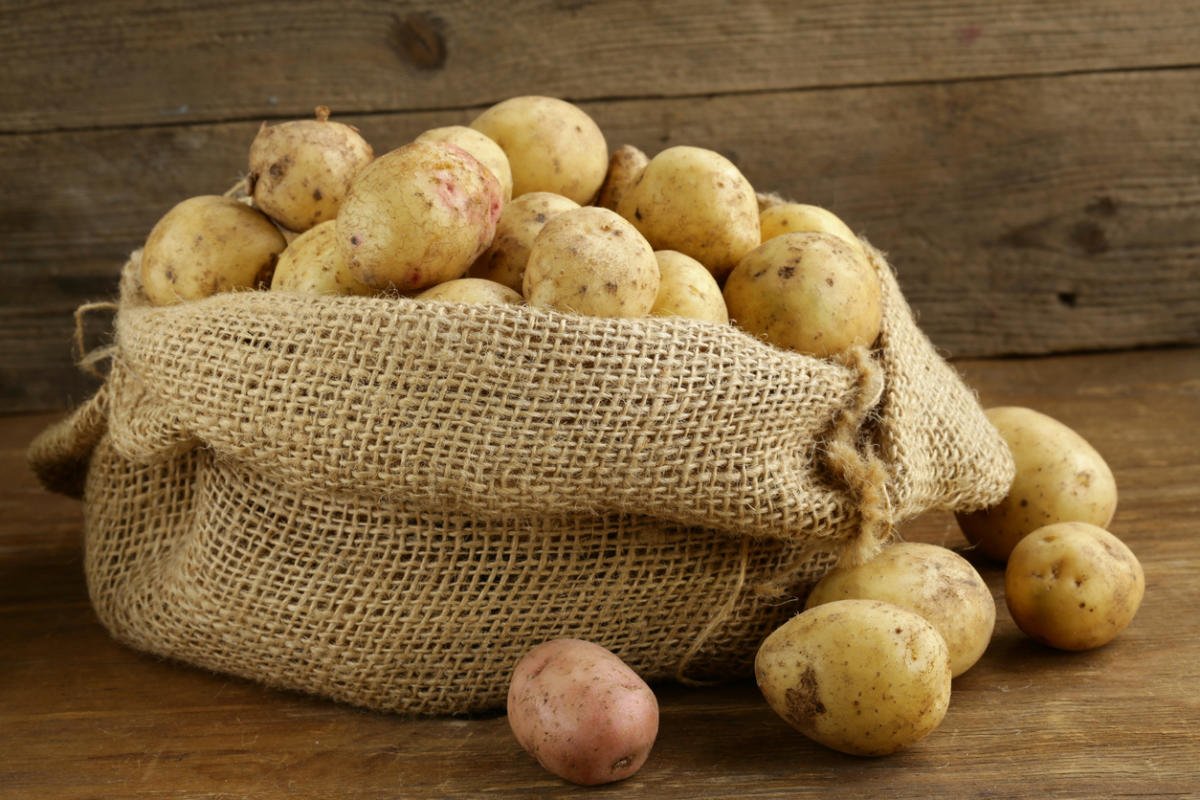 Куча картошки. Картофель. Картофель в мешках. Импорт картофеля. Мешок картошки.