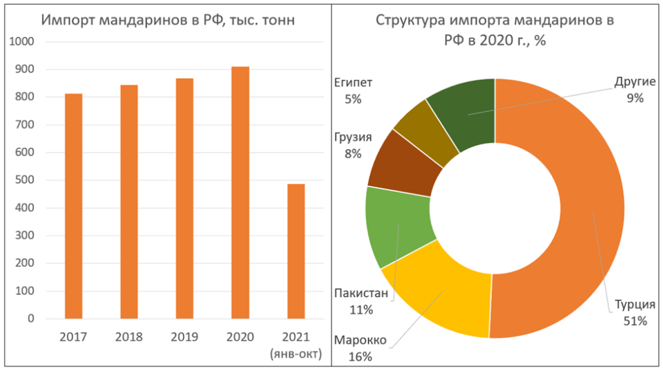 Импортеры фруктов. Обзор рынка фруктов.